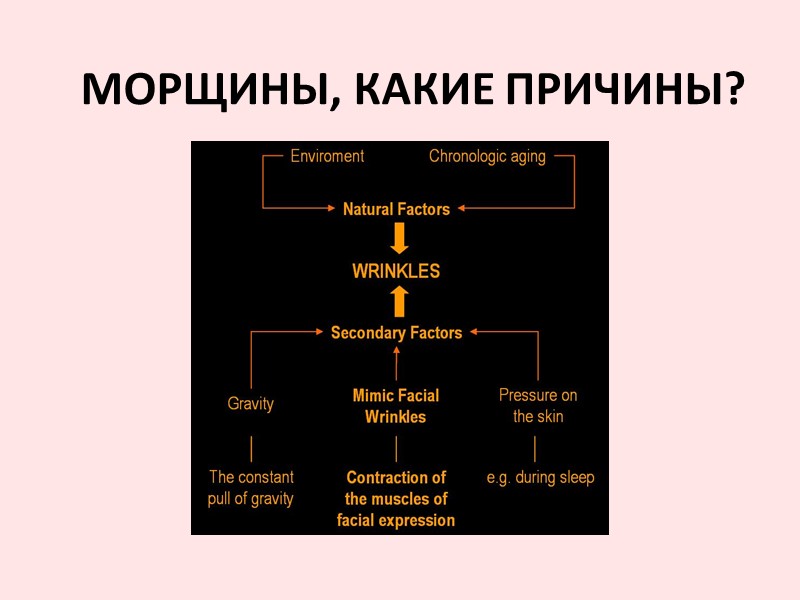 МОРЩИНЫ, КАКИЕ ПРИЧИНЫ?